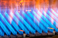 Darleyford gas fired boilers